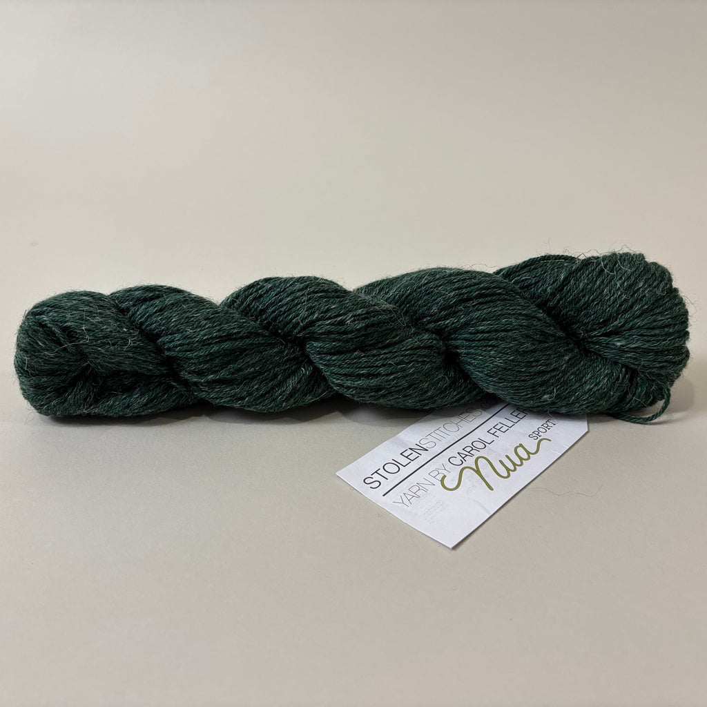 Stolen Stitches Nua Sport yarn in Sea Veggies