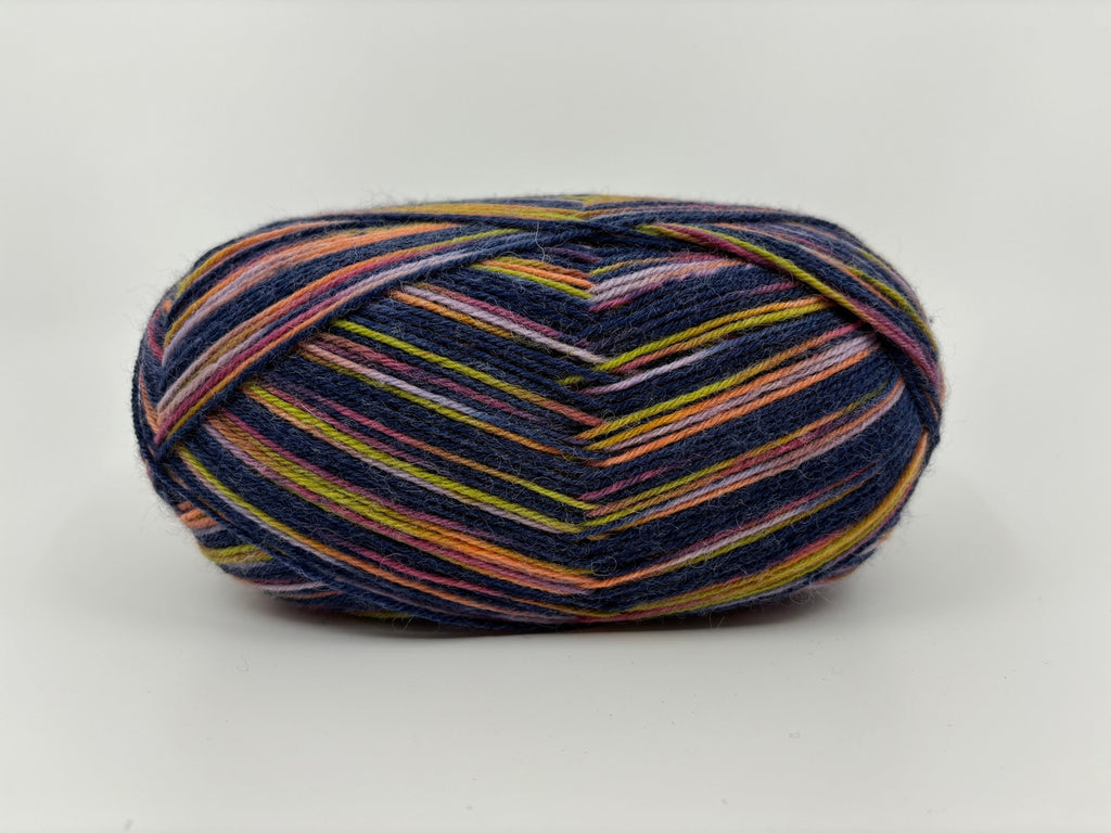 A skein of Regia 4-Ply Sock Yarn