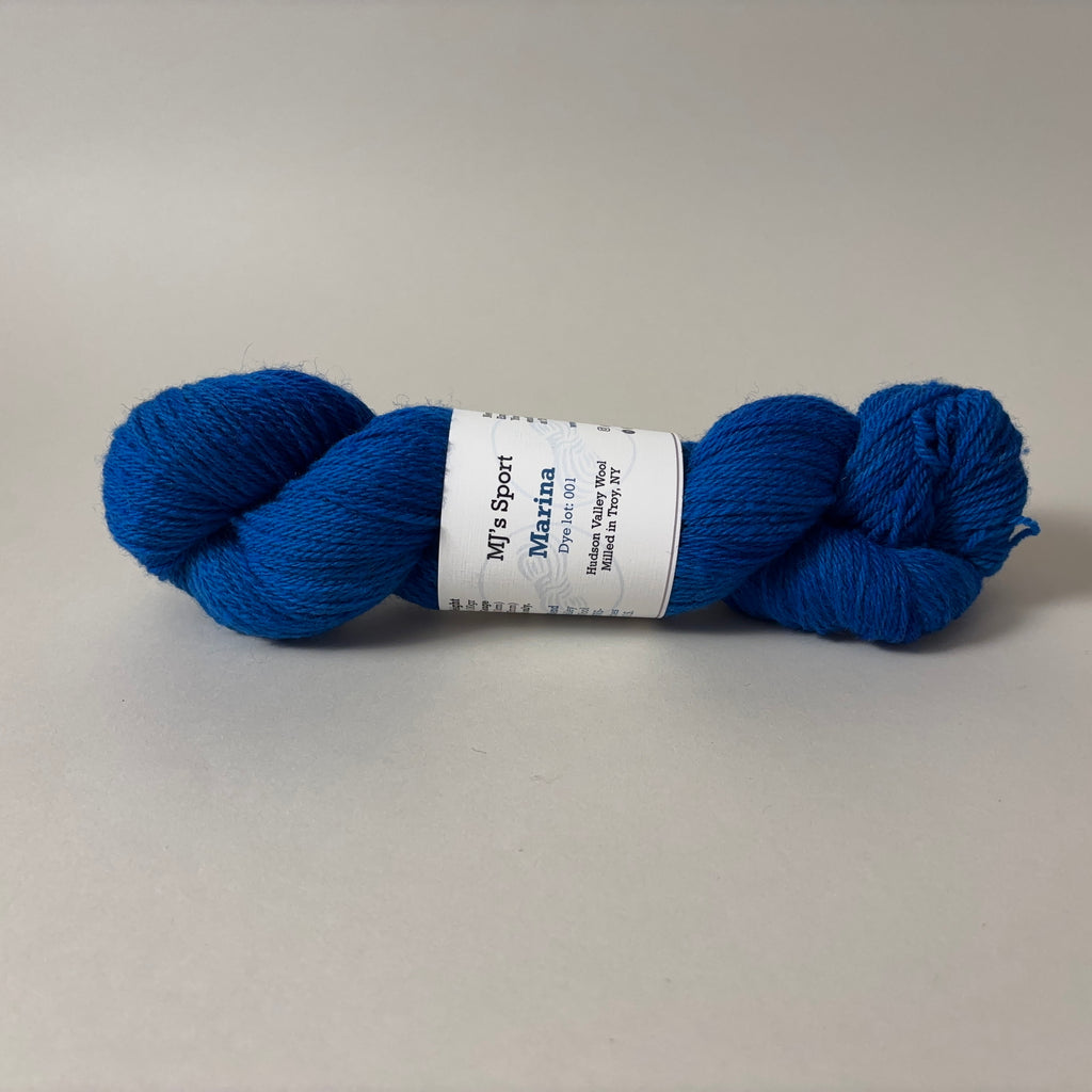 The Endless Skein MJ's Sport yarn in Marina