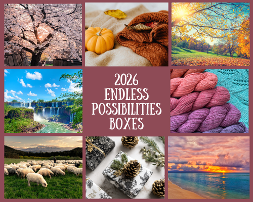 2026 Endless Possibilities Boxes