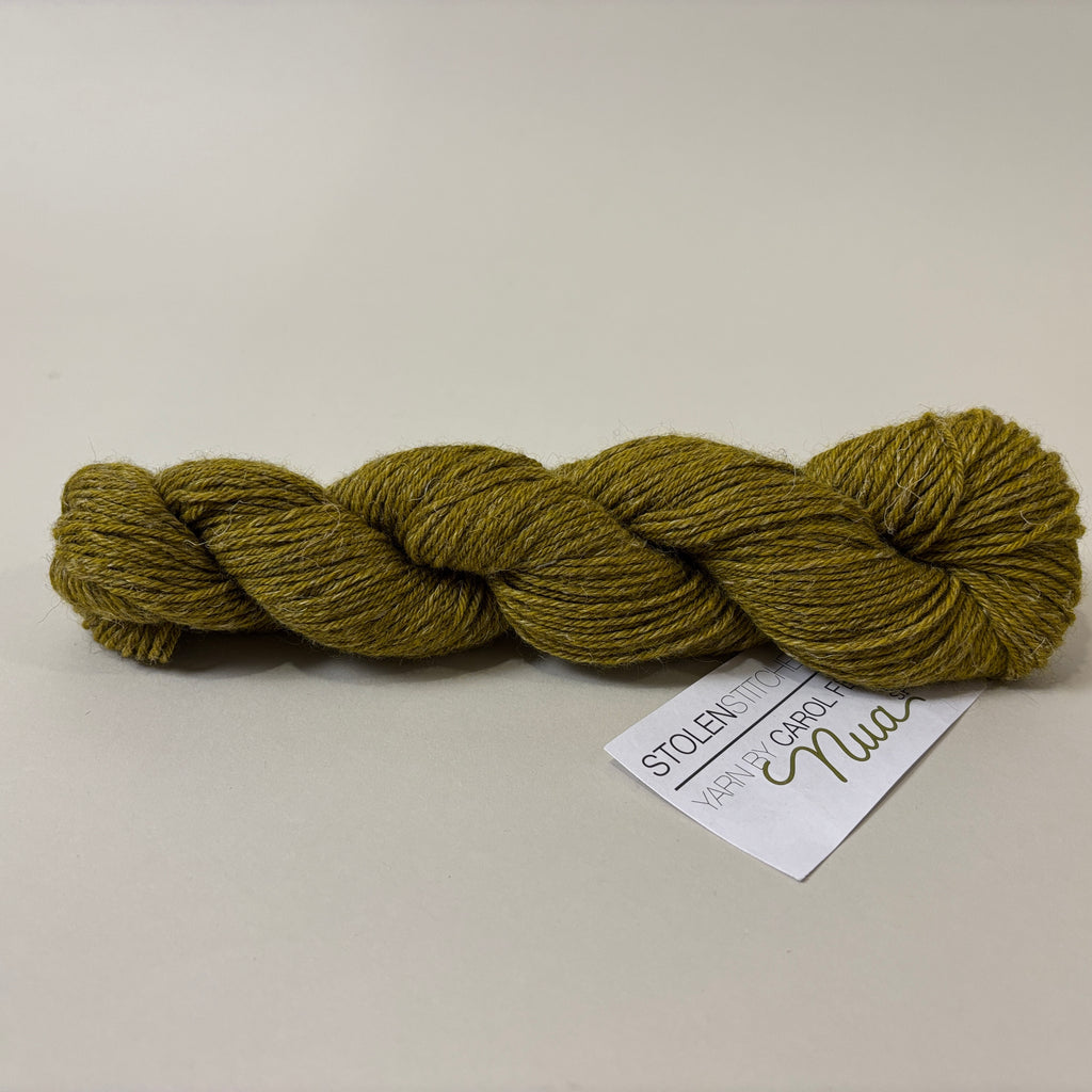 Stolen Stitches Nua Sport yarn in Frog On The Wall 9802