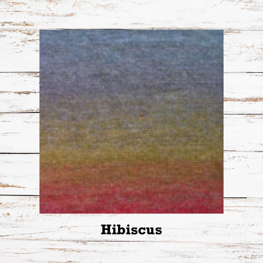 Hibiscus gradient colorway