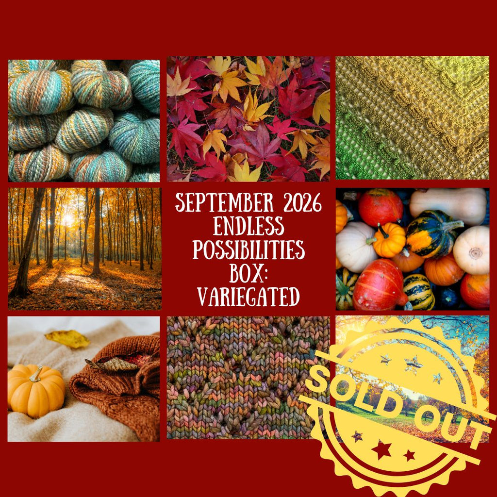 2026 Endless Possibilities Box